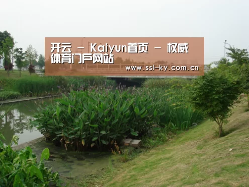 案例展示四(图1)