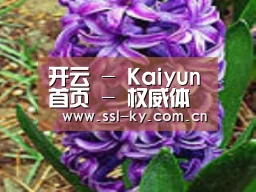 产品名称八