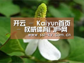 产品名称三