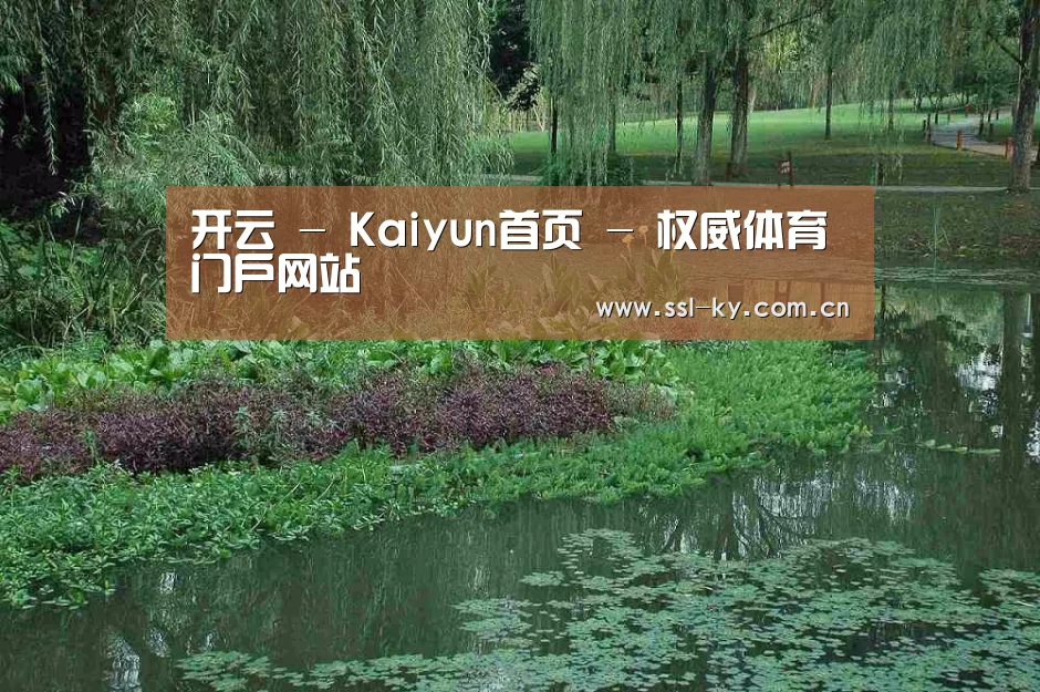 案例展示一