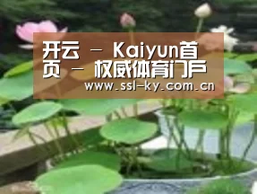 产品名称一