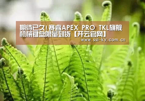 期待已久!赛睿APEX PRO TKL旗舰机械键盘限量到货【开云官网】(图3) 开云体育下载