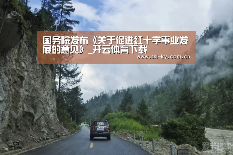 国务院发布《关于促进红十字事业发展的意见》_开云体育下载(图4) 开云体育下载